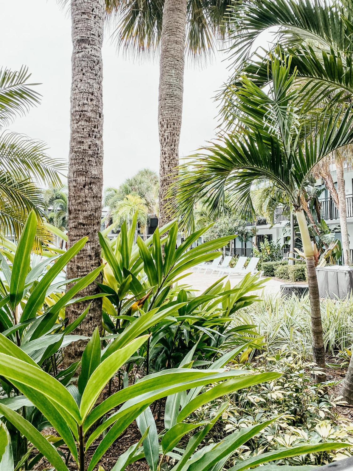 Coco Key Hotel&water Park